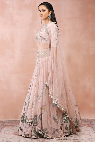 Rose pink niloufar print lehenga set