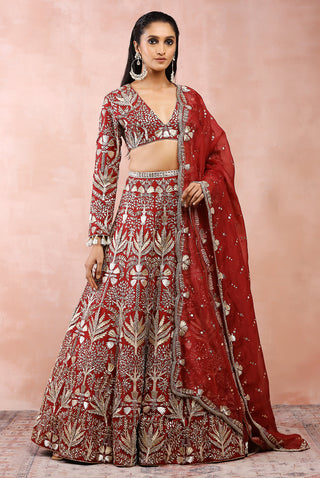 Dark red bagh embroidered lehenga set