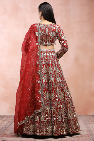 Dark red bagh embroidered lehenga set