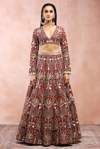 Dark red bagh embroidered lehenga set