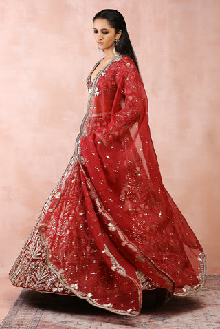 Dark red bagh embroidered lehenga set