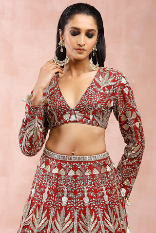 Dark red bagh embroidered lehenga set