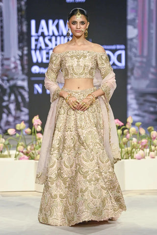 Blush pink embroidered choli and lehenga with dupatta