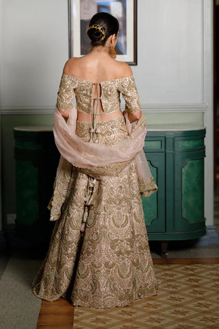 Blush pink embroidered choli and lehenga with dupatta