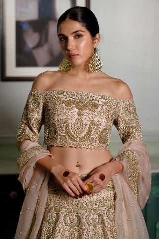 Blush pink embroidered choli and lehenga with dupatta