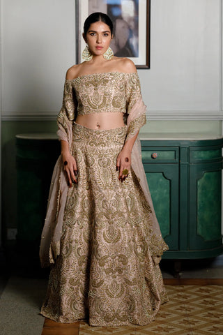 Blush pink embroidered choli and lehenga with dupatta