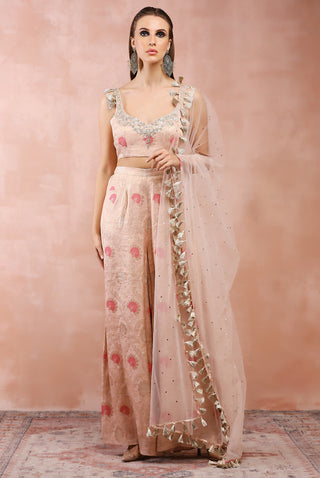 Rose pink embroidered choli and palazzo set