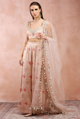 Rose pink embroidered choli and palazzo set