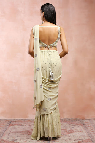 Mint appliqué embroidered choli and saree