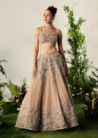 Nude organza lehenga and blouse