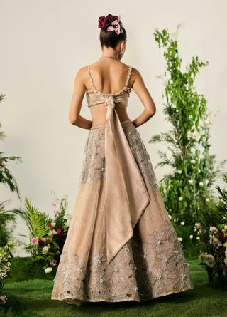 Nude organza lehenga and blouse