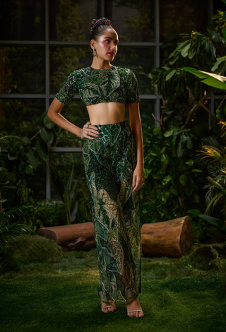 Forest green crop top and pants