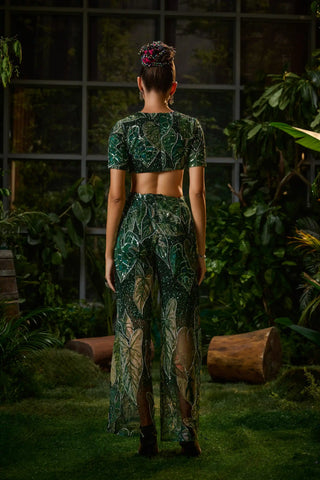 Forest green crop top and pants