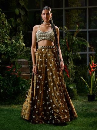 Brown copper velvet lehenga and blouse