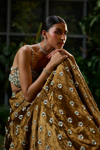 Brown copper velvet lehenga and blouse