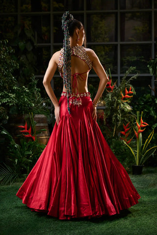 Red sleeveless blouse and lehenga