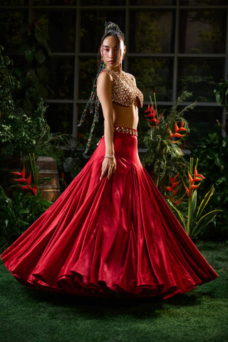 Red sleeveless blouse and lehenga