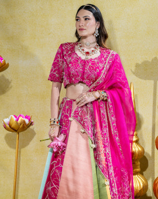 Padmini pink lehenga set