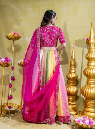 Padmini pink lehenga set