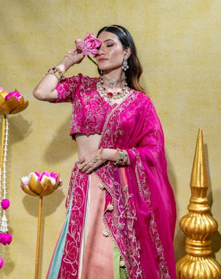 Padmini pink lehenga set