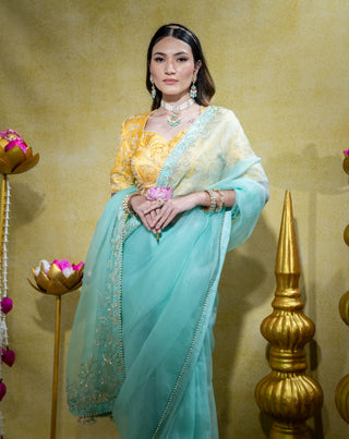 Aqua silk organza saree and blouse