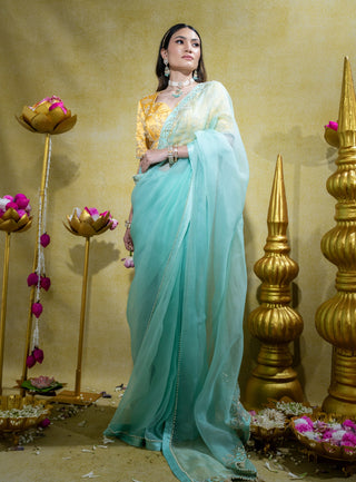 Aqua silk organza saree and blouse