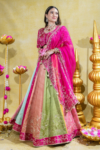 Padmini pink lehenga set