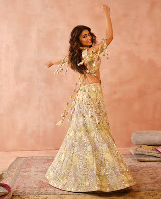 Offwhite embroidered choli and lehenga with dupatta