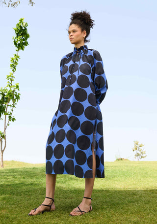 Polka blue daisy dress