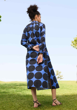 Polka blue daisy dress