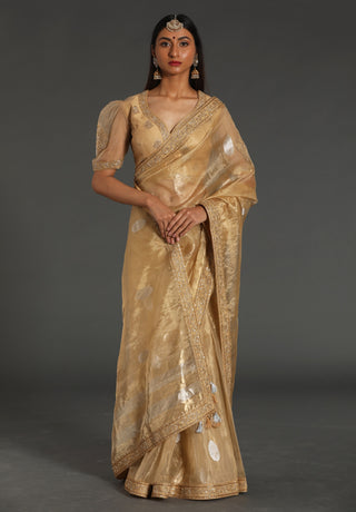 Golden-beige saree and blouse