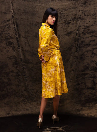 Nargis yellow robe dress