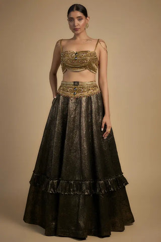 Gold embroidered with moti and chain blouse with lehenga