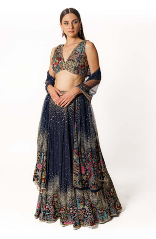 Nadia blue resham lehenga set