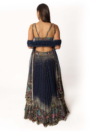 Nadia blue resham lehenga set