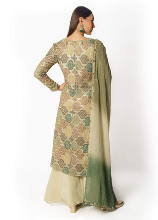 Ayat multi green kurta and palazzo set