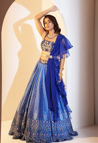 Trisha blue printed lehenga set