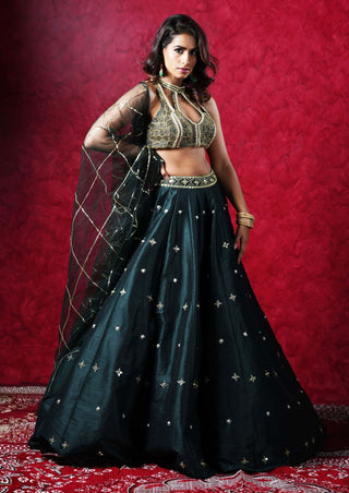 Jeeva dark green lehenga set