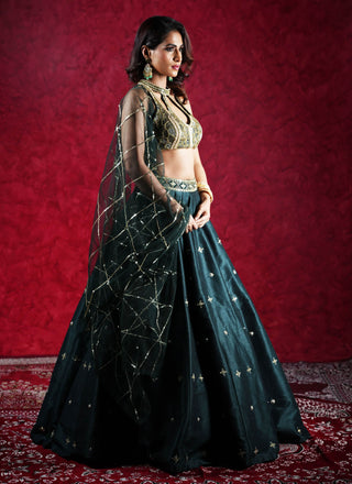 Jeeva dark green lehenga set