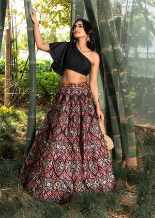 Kaya multicolor lehenga and blouse