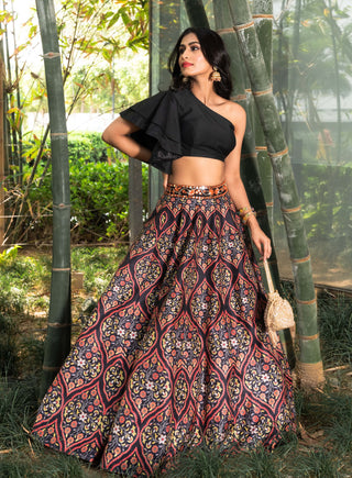 Kaya multicolor lehenga and blouse