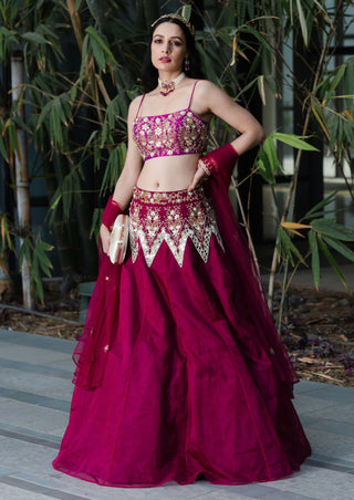 Jamina magenta lehenga set