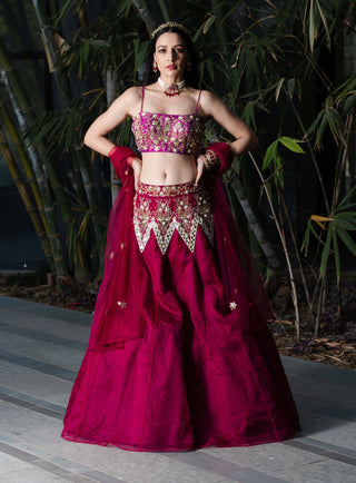 Jamina magenta lehenga set