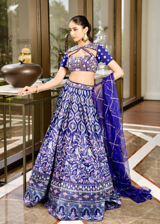 Shriya blue lehenga set