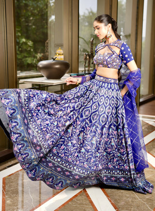 Shriya blue lehenga set