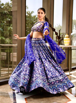 Shriya blue lehenga set