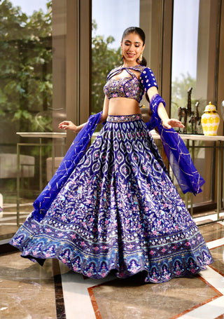 Shriya blue lehenga set