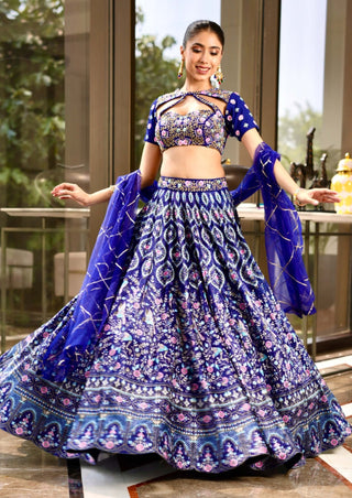 Shriya blue lehenga set