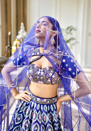 Shriya blue lehenga set