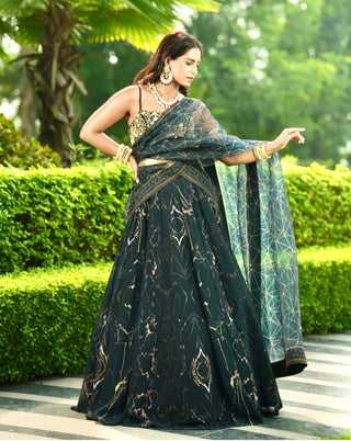 Meesha black lehenga set